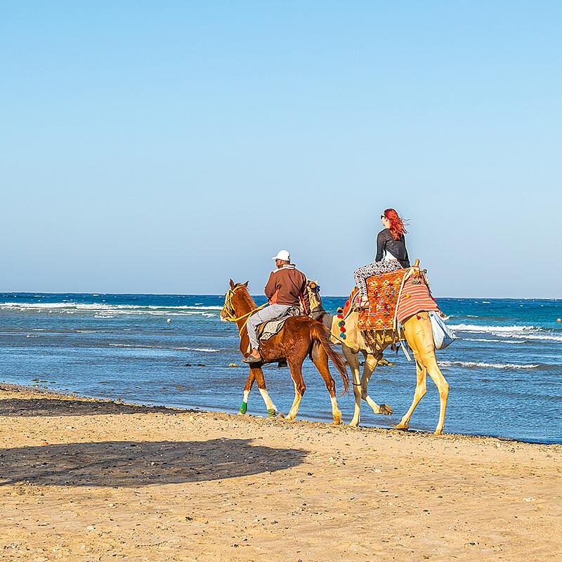 ليموزين الغردقة